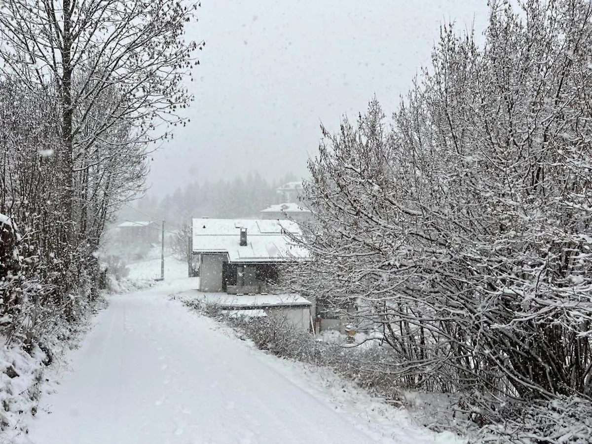 Chalet Francesca Pieve di Cadore Διαμέρισμα